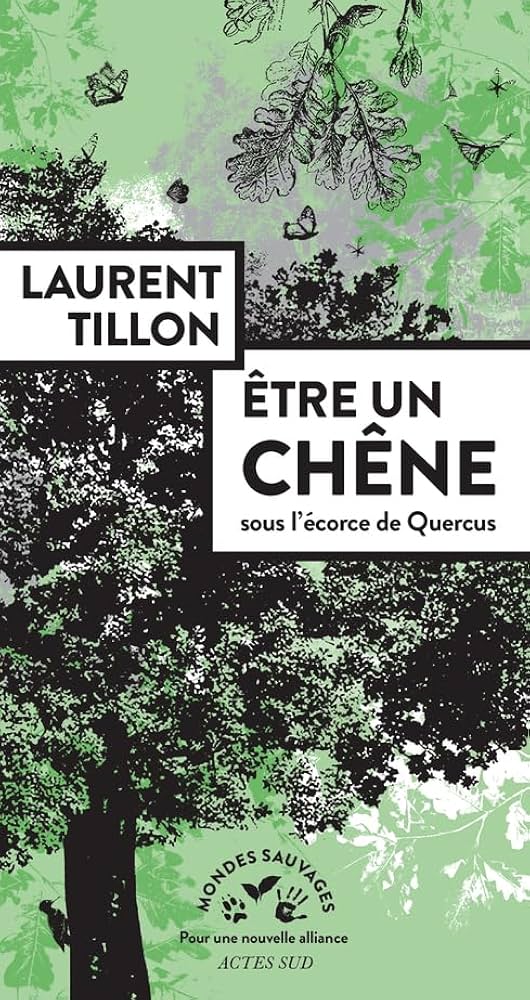 Etre un chêne: Sous l'écorce de Quercus
