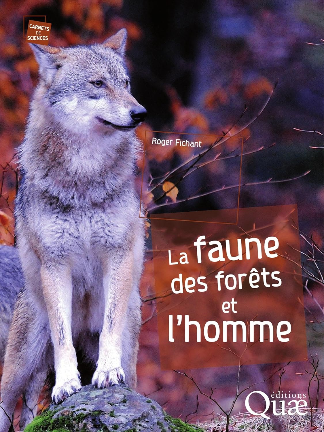 La faune des forêts et l'homme