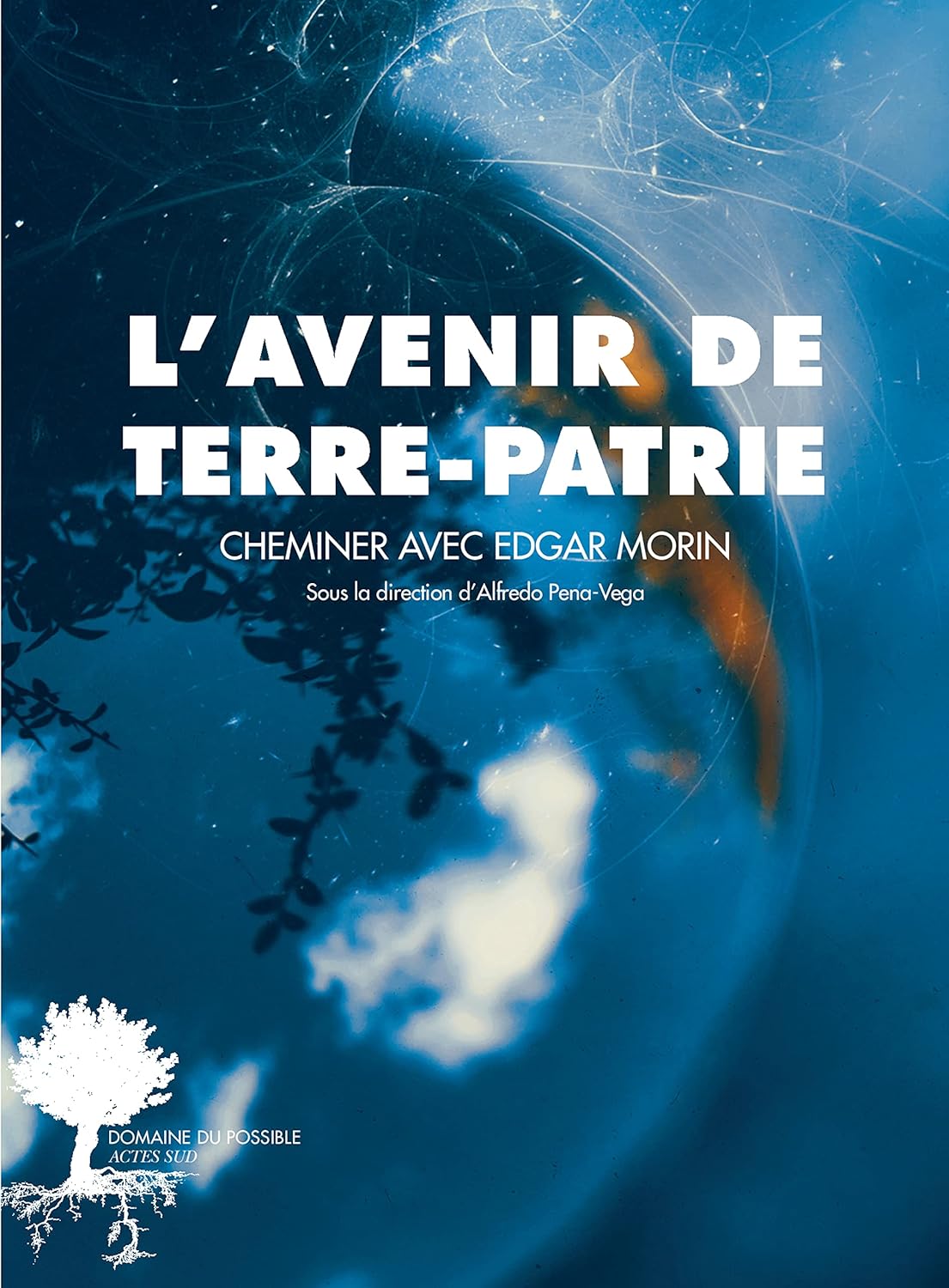 L'avenir de Terre-Patrie: Cheminer avec Edgar Morin