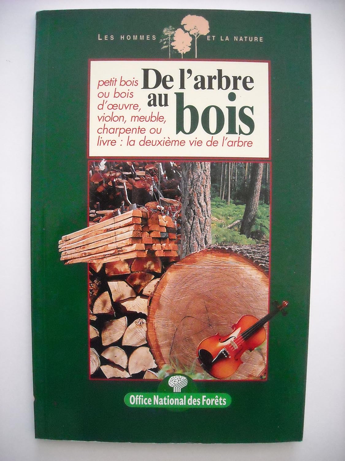 De l'arbre au bois
