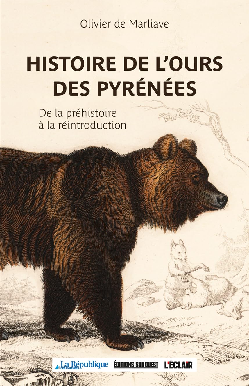 Histoire de l'ours dans les Pyrénées: de la préhistoire à la réintroduction