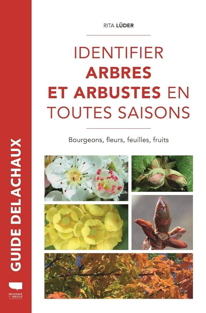 Identifier arbres et arbustes en toutes saisons: Bourgeons, fleurs, feuilles et fruits