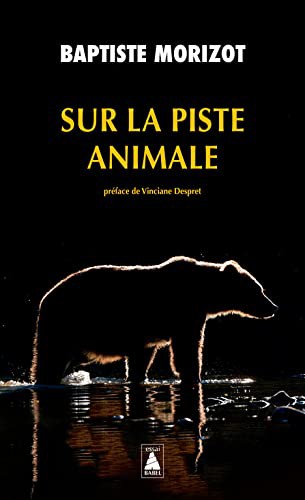 Sur la piste animale